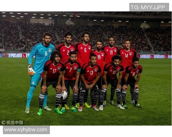 深入解析足球赛事数据的专业分析网站助你掌握比赛动态与战术趋势